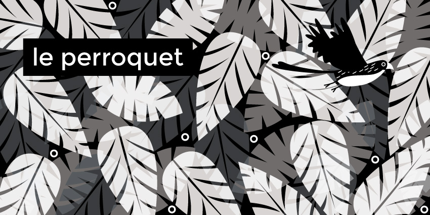 11-Perroquet